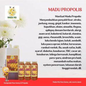 Madu Propolis